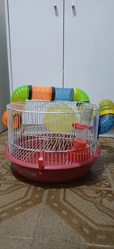 Gaiola para Hamster usada