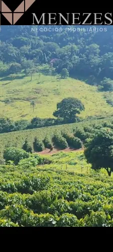 Sítio à venda sentido Ibiraci