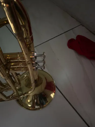 Instrumento