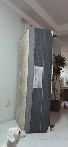 Cama box