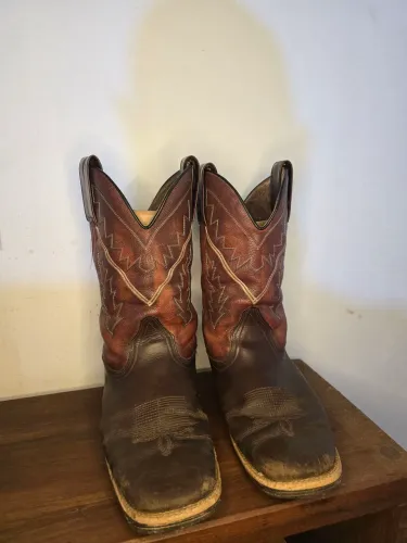 Bota texana 44
