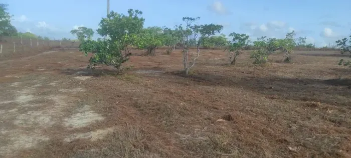 Lotes em Sucatinga - Beberibe