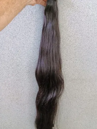 Castanhos Vietnamita de 80 cm 