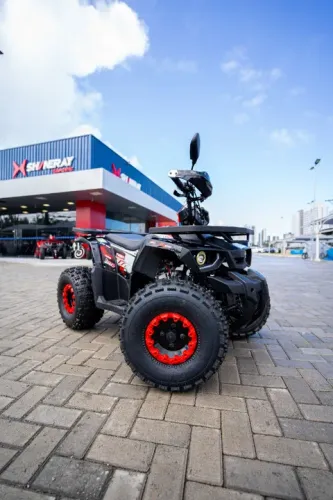 Quadriciclo Shineray ATV 125cc Cambio Automatico c/ Alarme +Partida Remota