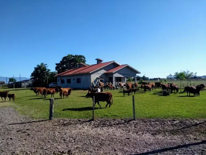 Fazenda à venda, 3300000 m² por R$ 33.000.000,00 - Três Coqueiros - São João do Sul/SC