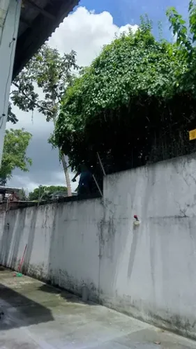 Cerca elétrica instalação e manutenção 