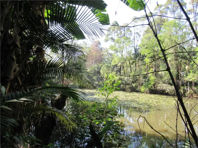 Terreno à venda em Chácara Flora, São Paulo - SP