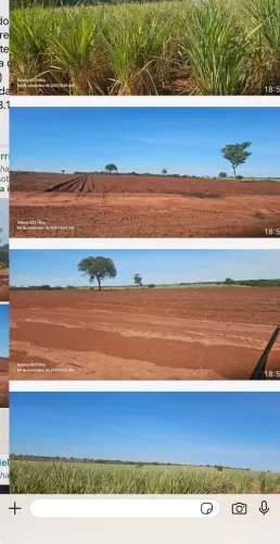 Fazenda de cana