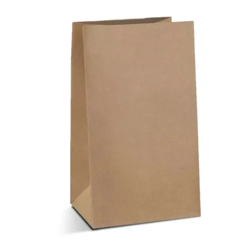Saco Kraft liso G