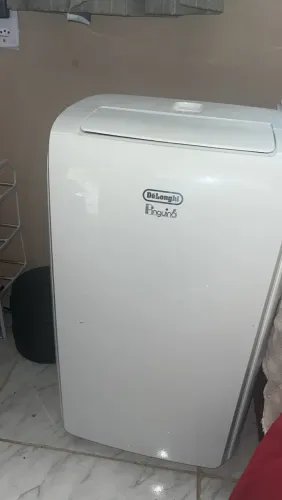 Troco meu Ar Portátil DeLonghi Pinguino 127V por um ar portátil 220V.