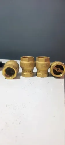 Válvulas de Retenção DOCOL 1,1/2"