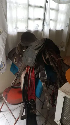 Celas de cavalos