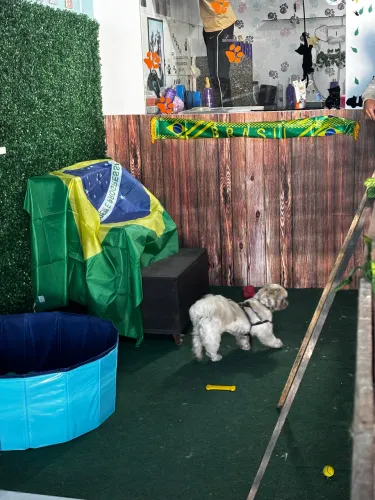 PASSO UM SONHO PARA QUEM DESEJA CONTINUÁ-LO