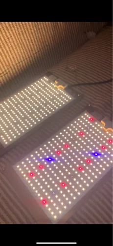 Painel LED Grow 240W Samsung LM301H - Alta Eficiência
