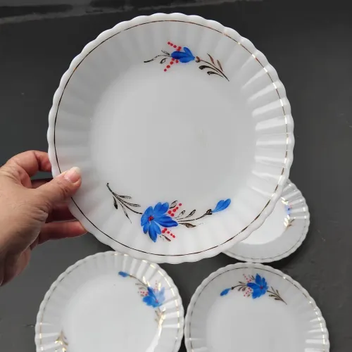 6 Pratos de Sobremesa Opalinos 