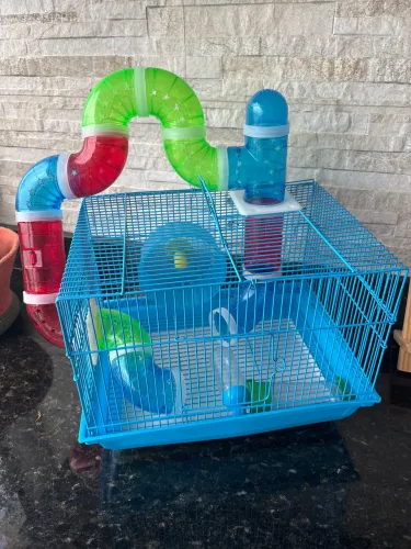 Gaiola hamster