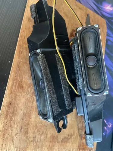 Par de alto-falantes originais Samsung, retirados de uma TV Samsung LN37C530F1M