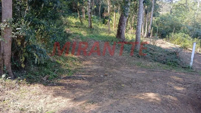 Terreno em Santa Inês