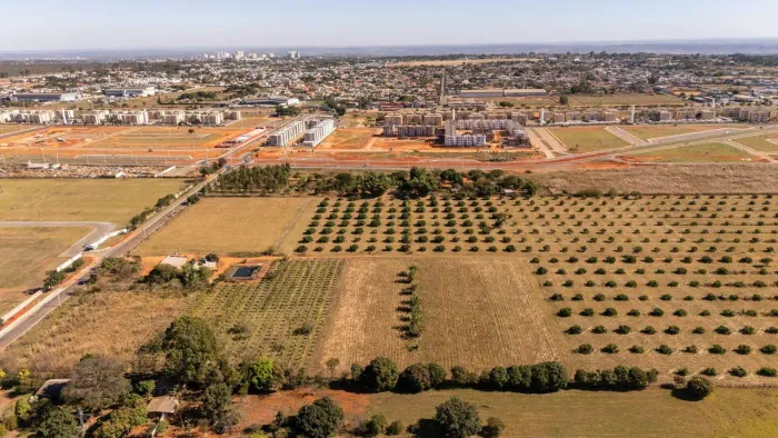 Área Estratégica no CAUB I | Ideal para Galpões, Indústrias e Logística