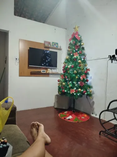 Árvore de natal 2,10 com os enfeites e 2 pisca pisca 