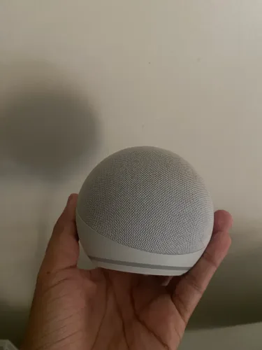 Echo dot Alexa