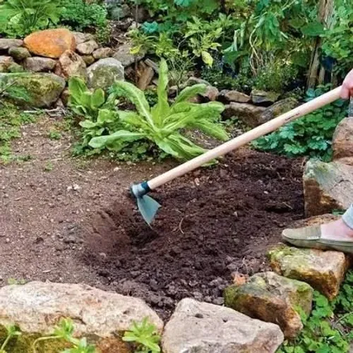 Limpeza de quintal capina e auxiliar em limpeza dedicado ao que faz..