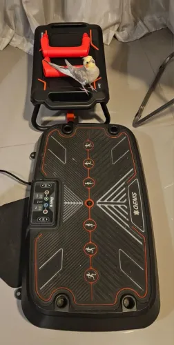Kit genis Polishop - plataforma vibratória e acessórios