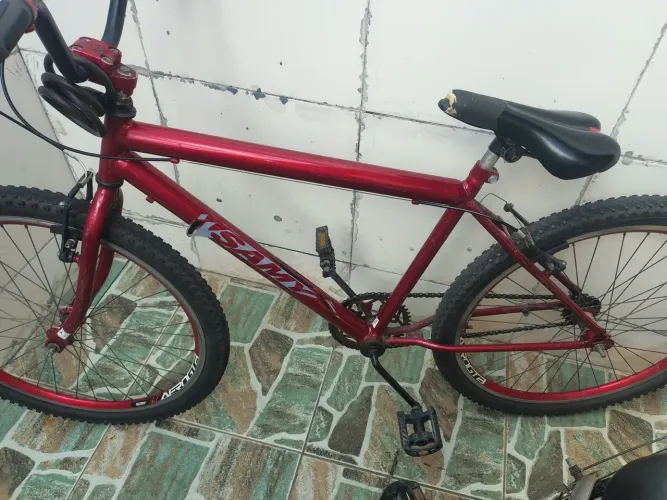 bicicleta 
