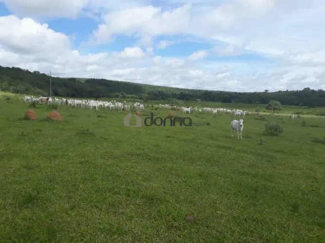 Fazenda à venda, 5 quartos, 1 suíte, 4 vagas, São Cristóvão - Patrocinio/MG