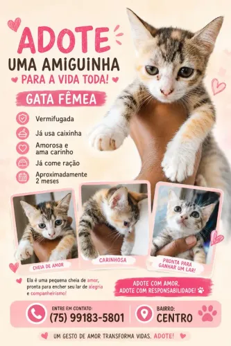 Gatinha para adocão 