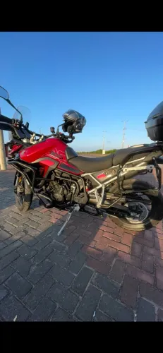 Triumph Tiger 900 GT PRO 2024