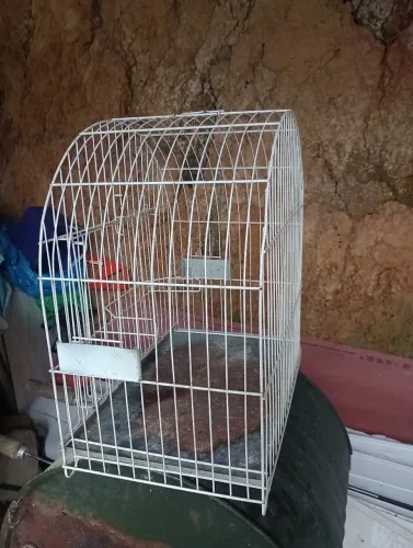 Vendo Gaiola 