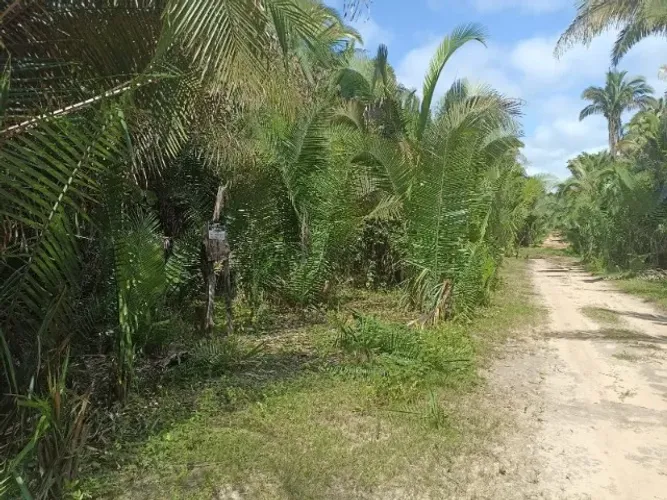 TERRENO PARA CHÁCARA EM DEMERVAL LOBÃO 2 DUAS HECTARES
