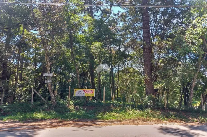 Vendas Terreno São José Dos Pinhais PR