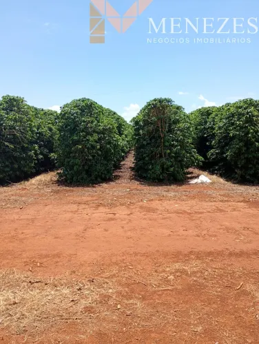 Fazenda cafeeira localizada em Piumhi MG
