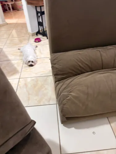 Vende-se um sofá 4 lugares inclinado e recliclavel