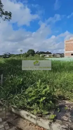 Terreno para venda tem 601 m2 em Aldeia dos Camarás - Camaragibe - PE