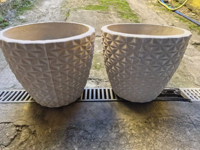 Vaso planta