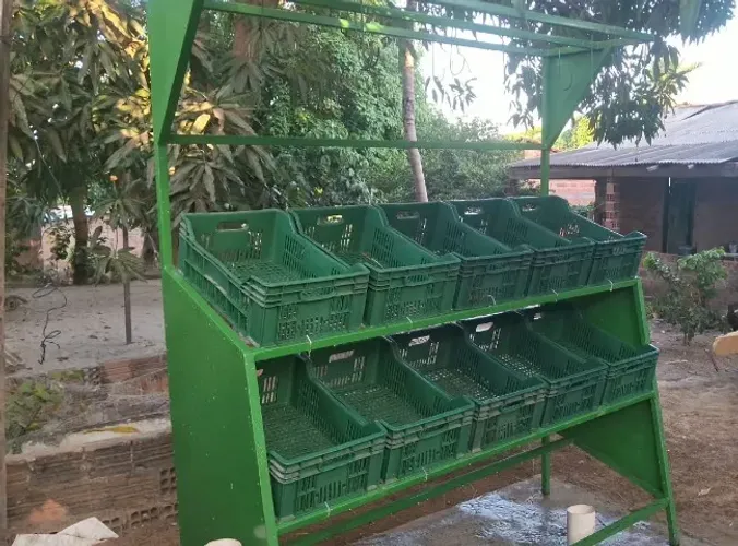 Fruteira grande para comercio