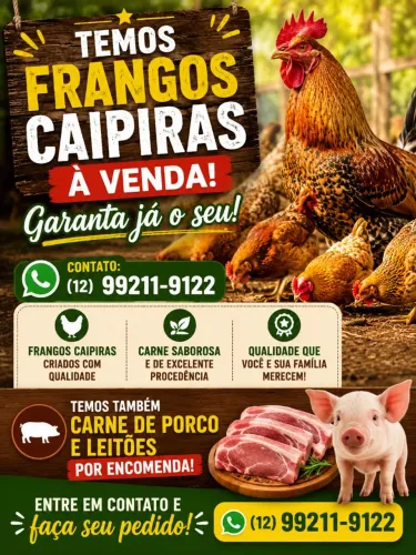 Frango caipira e Porco