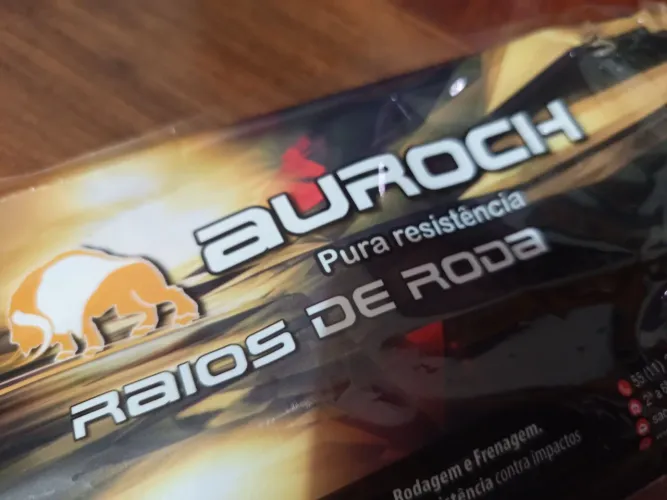 Raios cromados 4mm dianteiros XTZ Crosser freio a disco