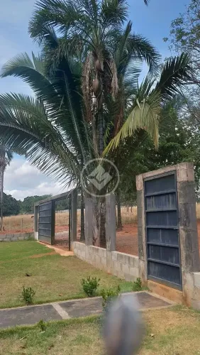 Fazenda à venda  Piracanjuba/GO codigo: 272275