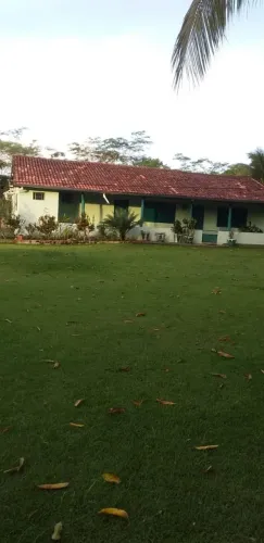Vendo chácara- Agrovila das palmeiras