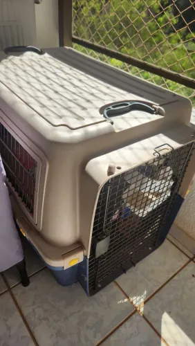 Caixa Transporte Pet Dogfly Padrão Iata Avião Tamanho 5 N5 Azul