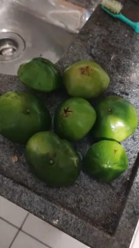 Cambuci frutas mais,procurada da região 