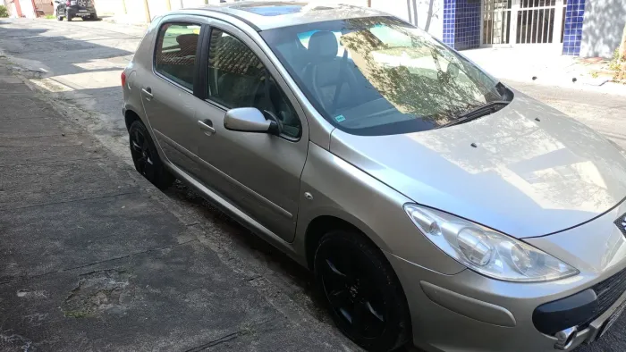 Peugeot 307 Feline/griff/premi. 2.0 Flex 5P Aut. 2008