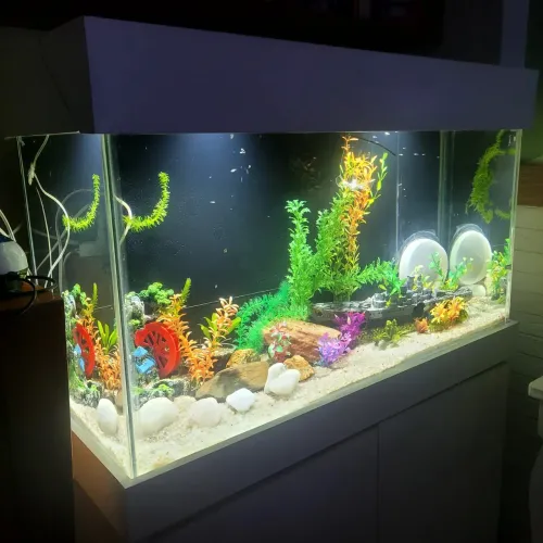 Aquário móvel 2 portas, 200 litros completo