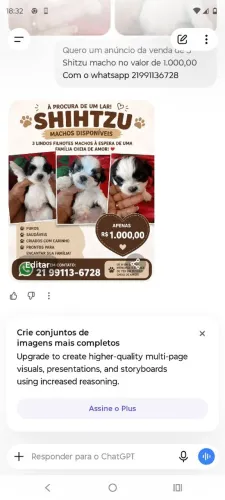 A espera de uma família cheia de amor