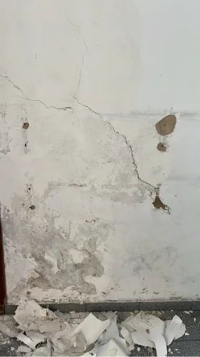 PINTOR - UMIDADE E MOFO NA PAREDE?