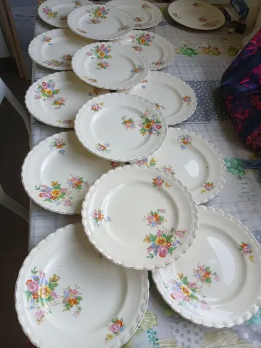 aparelho de Jantar Antigo Inglês J&G Meakin 50 peças